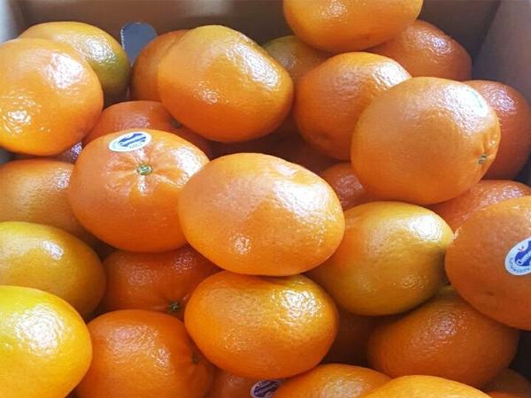 Nằm mơ thấy quả quýt đánh con gì may mắn có ý nghĩa gì