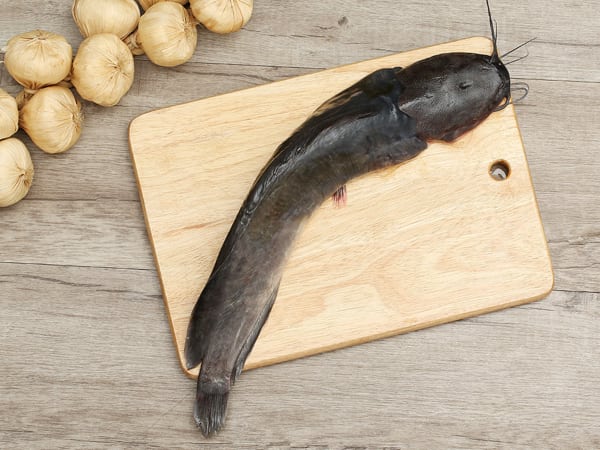 Nằm mơ thấy cá trê báo điềm gì, đánh con gì hên?